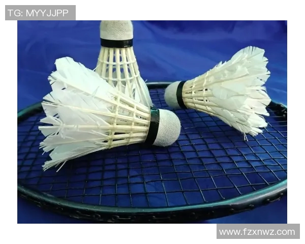 从零基础到高手之路:羽毛球比赛全方位技巧与策略指南