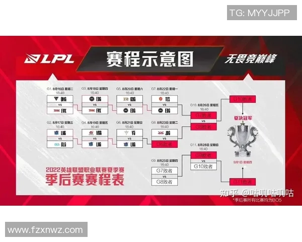 赛后复盘：RNG与LNG对决中的战术较量与团队协作分析